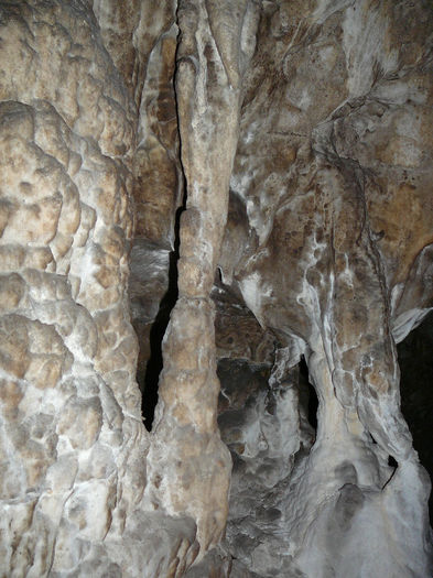 P1320352