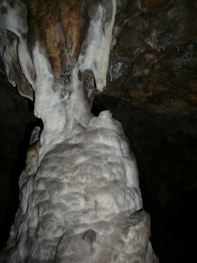 P1320353