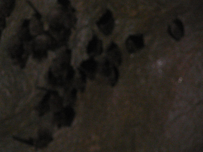 P1320372