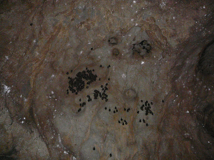 P1320375