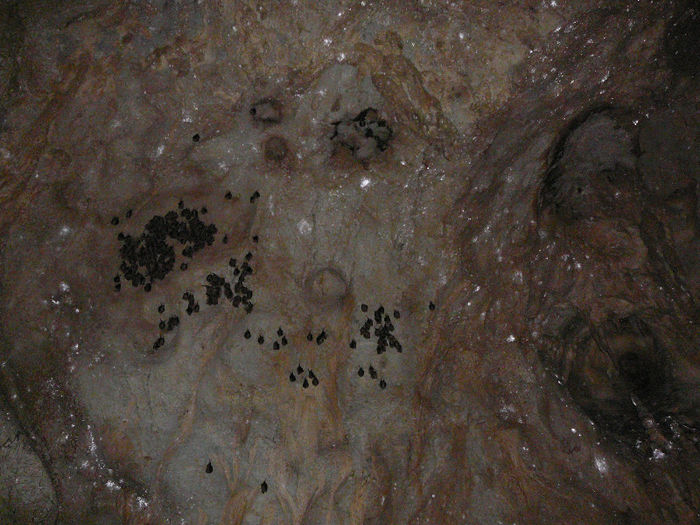 P1320377