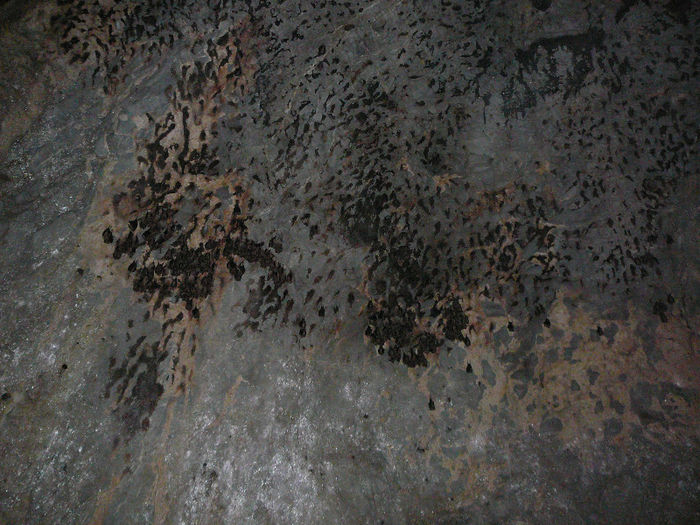 P1320401