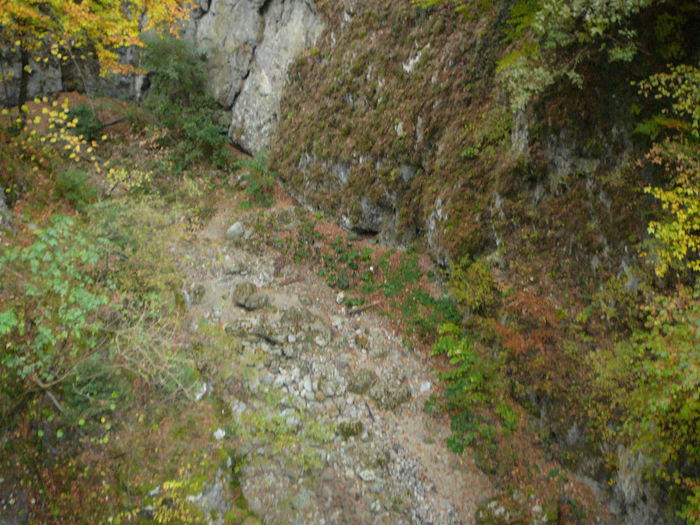 P1320444