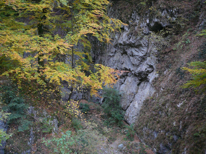 P1320445