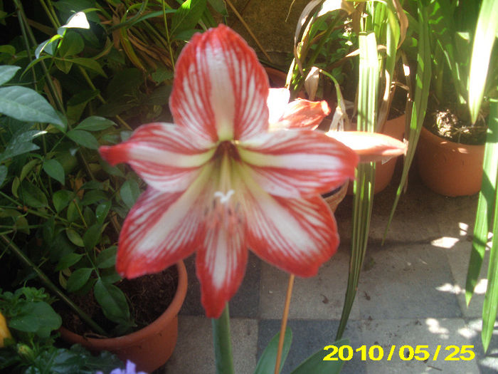 Picture 022