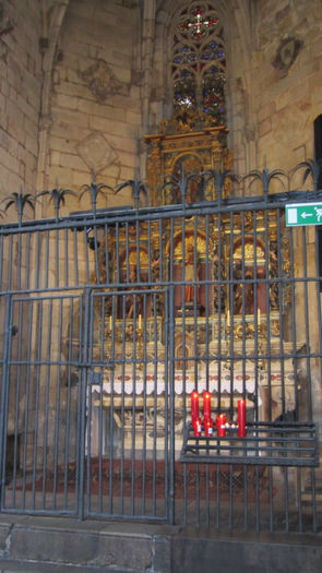 IMG_2932 - Catedrala gotica