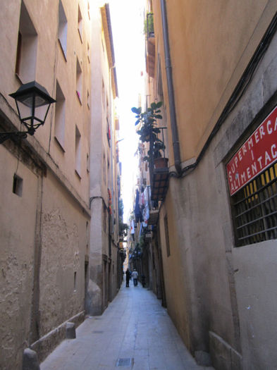 IMG_3827 - Barcelona la pas