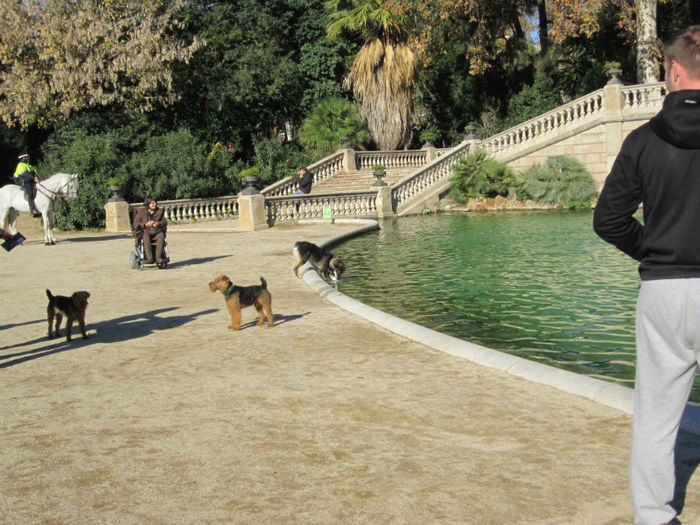 IMG_3763 - Parc in Barcelona