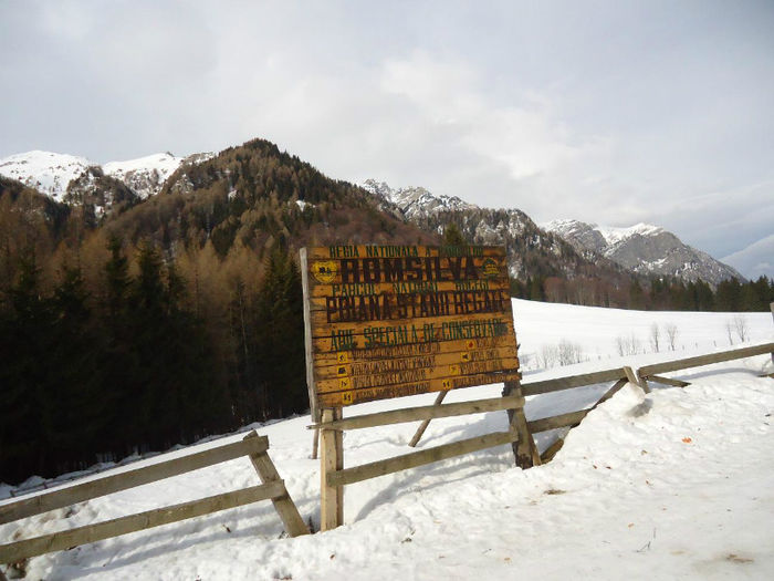 Poiana Stanii; Bucegi - Poiana Stanii
