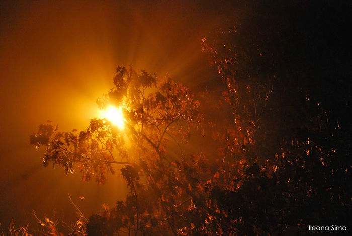 see_the_light_by_GreenKinder