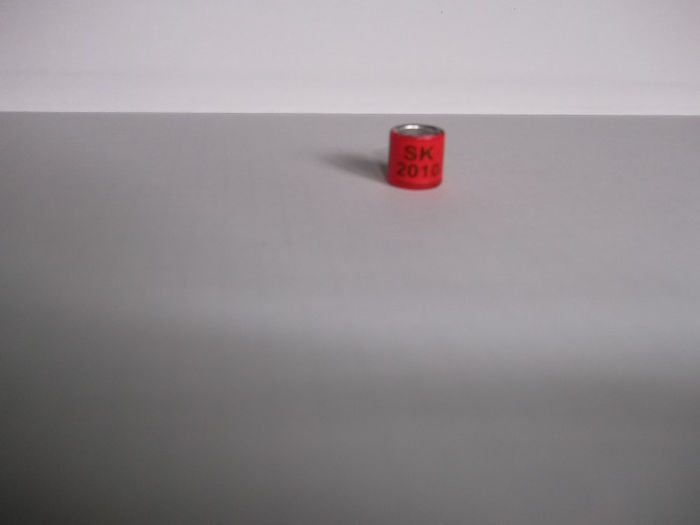 10 - INELE pentru schimb-exchange rings