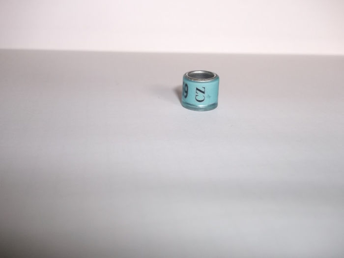 CZ-08 - INELE pentru schimb-exchange rings