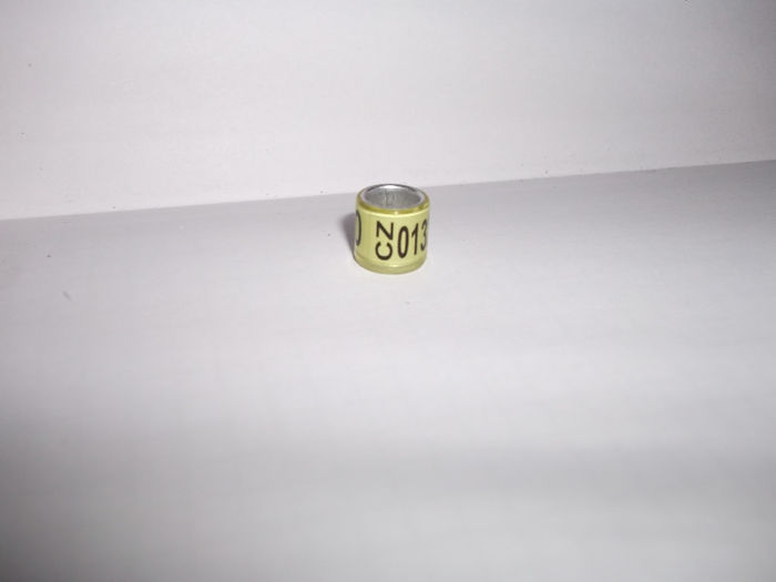 CZ-10 - INELE pentru schimb-exchange rings