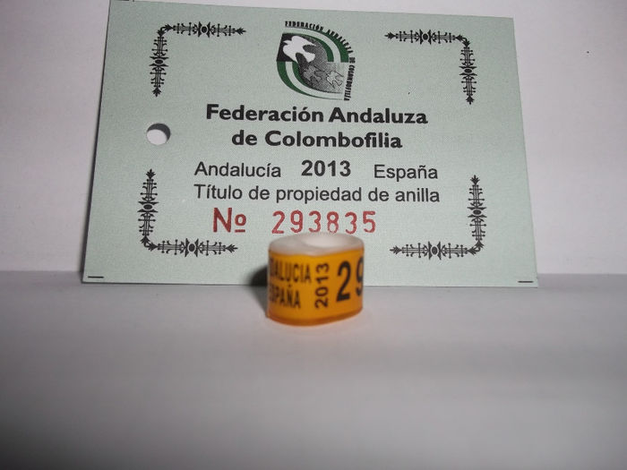 13 ANDALUZIA - INELE pentru schimb-exchange rings