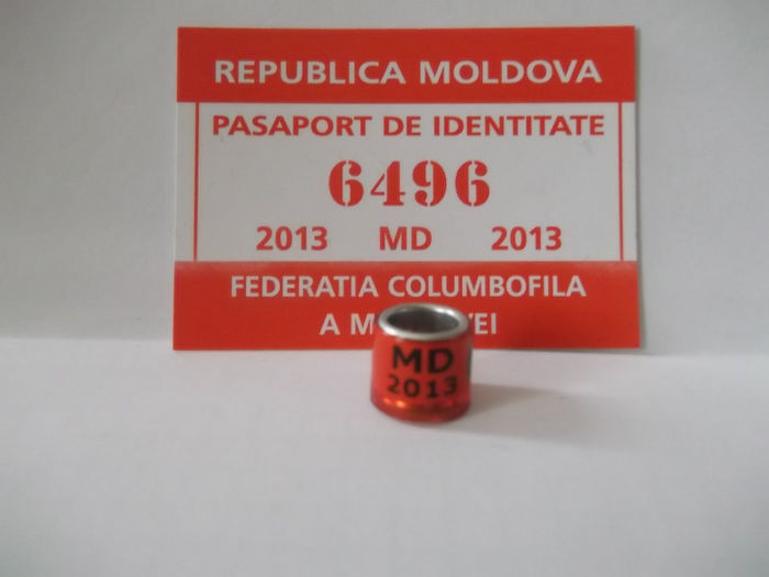 13 - INELE pentru schimb-exchange rings