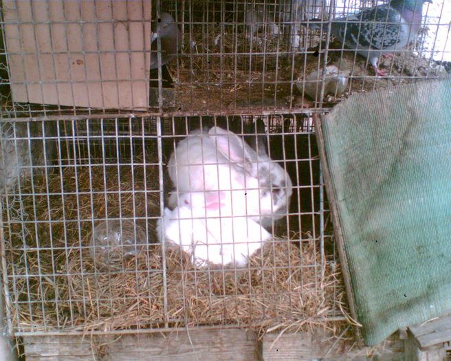 Image000