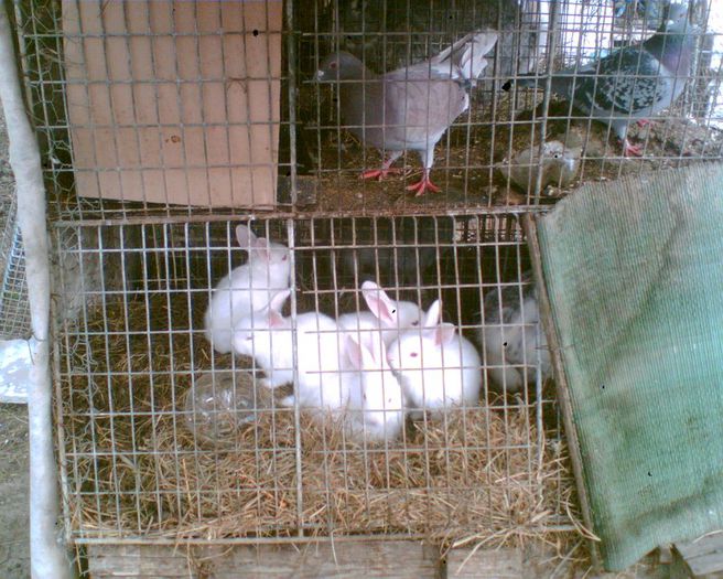 Image001