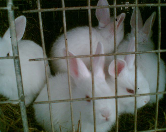 Image002