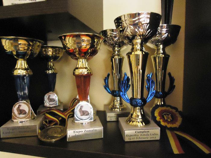 PALMARES LUDUS 2012 SI 2013