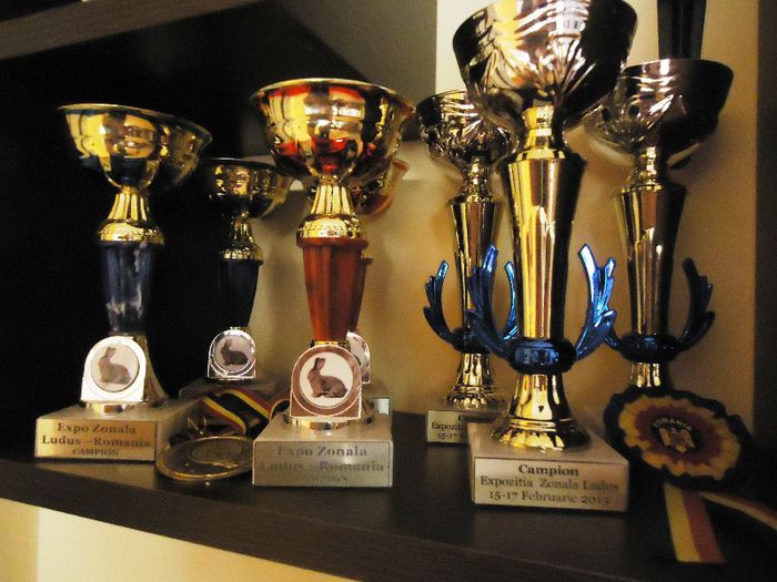 PALMARES LUDUS 2012 SI 2013