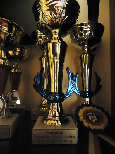 PALMARES LUDUS 2012 SI 2013