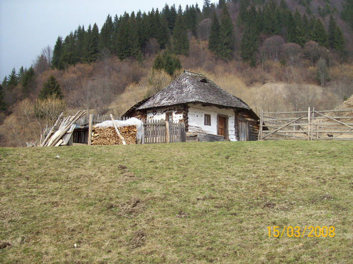 100_1826 - Campulung - Rucar - Bran