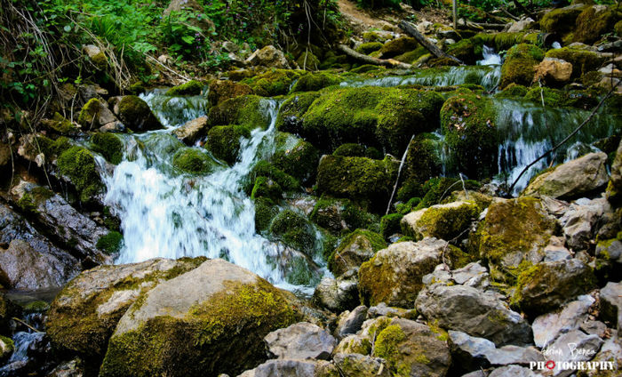 18 - Natura asa cum ne asteapta