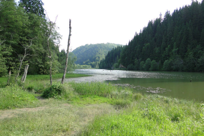 Peisaj Lacul Rosu - Lacul rosu