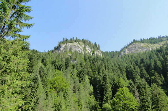 Piatra Altarului 3