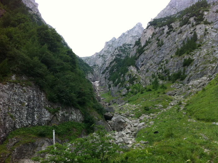 Valea Alba (1) - Bucegi - Valea Alba