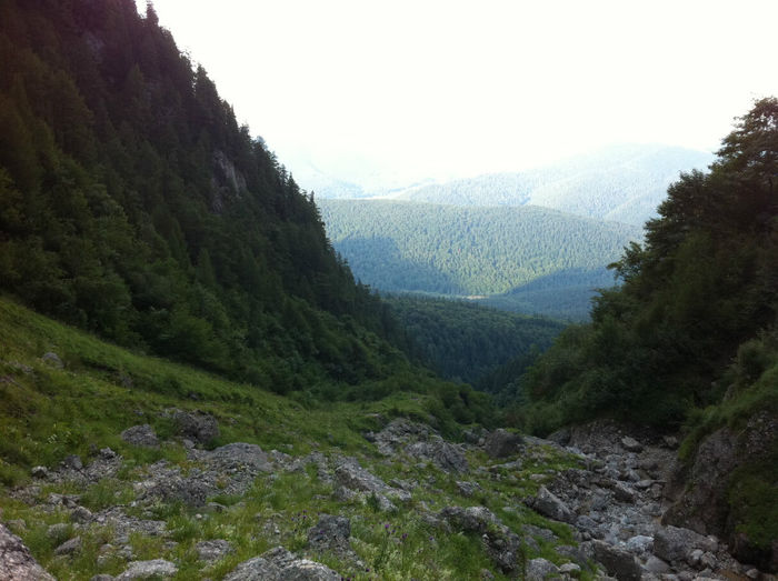 Valea Alba (5) - Bucegi - Valea Alba