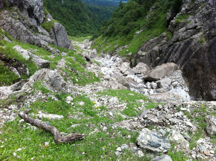 Valea Alba (11) - Bucegi - Valea Alba