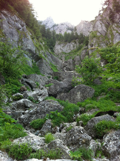Valea  Costilei (2) - Bucegi - Valea Costilei