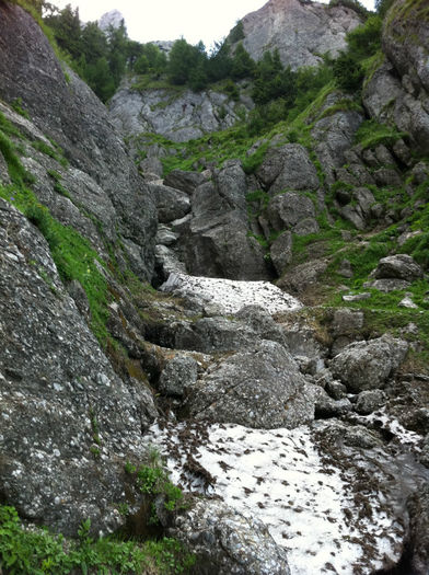 Valea  Costilei (5) - Bucegi - Valea Costilei