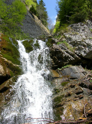 Muntii Bucegi (19) - Bucegi - partea I