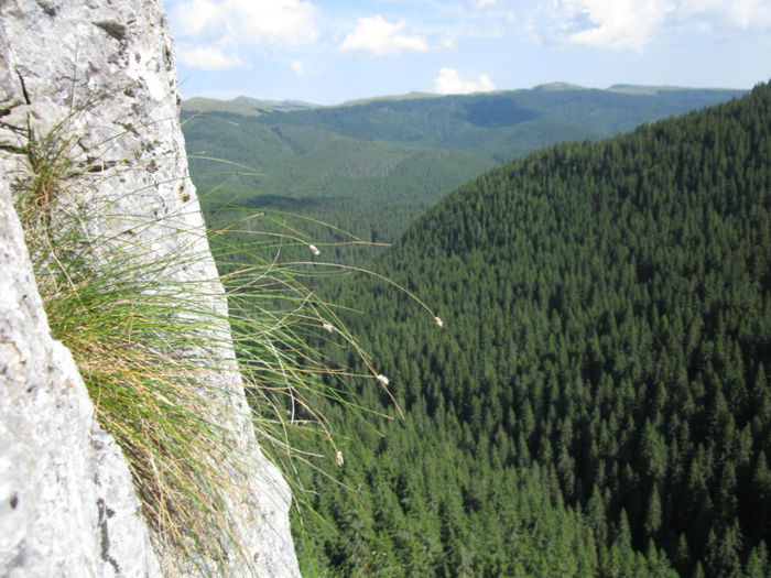 Muntii Bucegi (24) - Bucegi - partea I