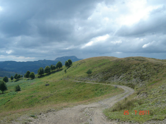 DSC06980 - Apuseni - partea I