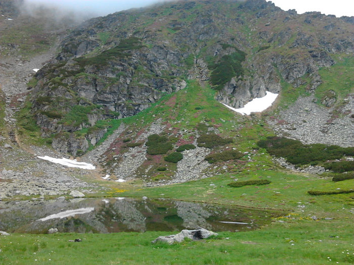 Fotografie0853 - Pietrosul Rodnei -Varful Tibles