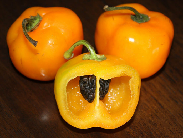 Manzano