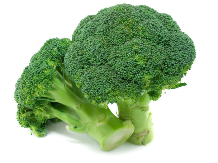 broccoli - conopida seminte