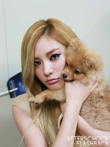 nana27