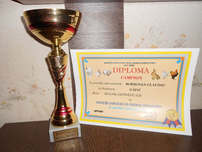 DSCN1582 - DIPLOME SI MEDALII