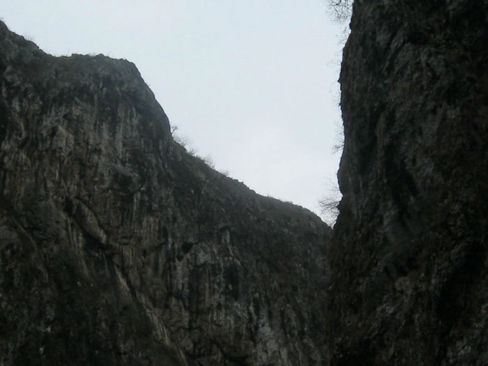 IMG_0623 - O zi cu ceata pe Valea Sohodolului