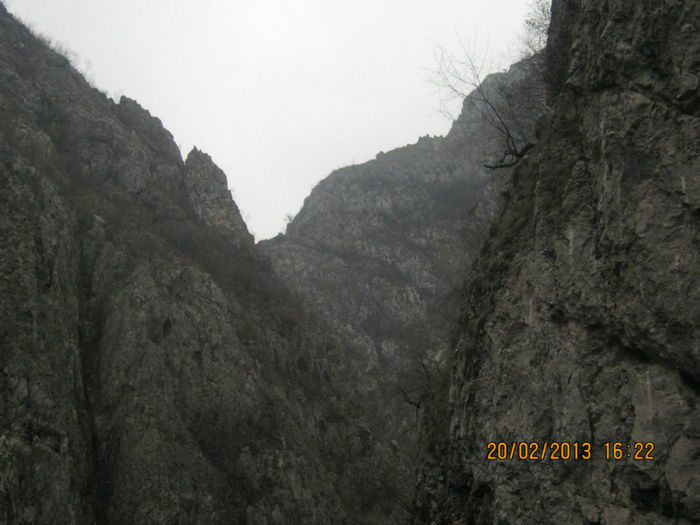 IMG_0694 - O zi cu ceata pe Valea Sohodolului