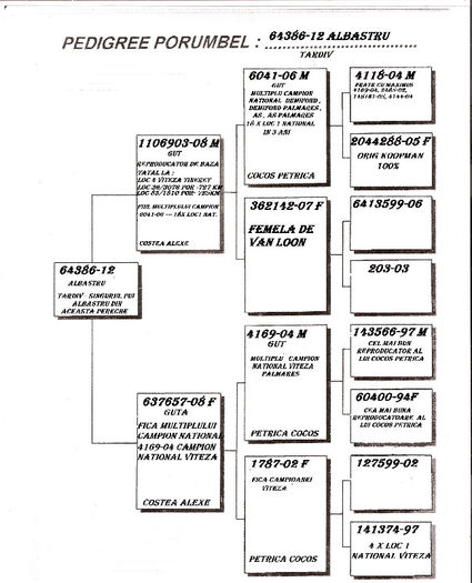 64386 -12 pedigreu - tardivi de vanzare