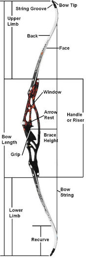 recurve bow