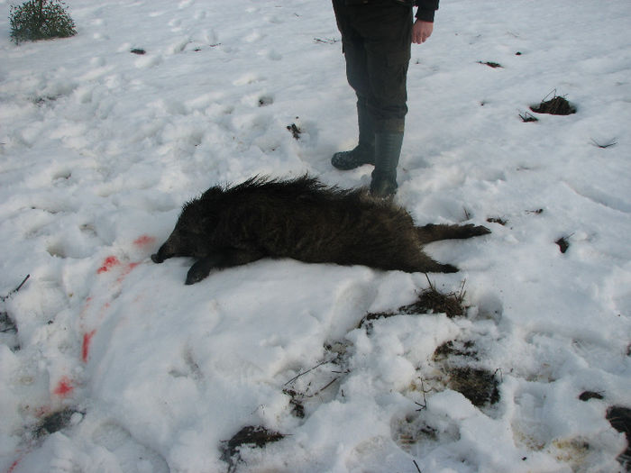 Vadőr tanfolyam 2013