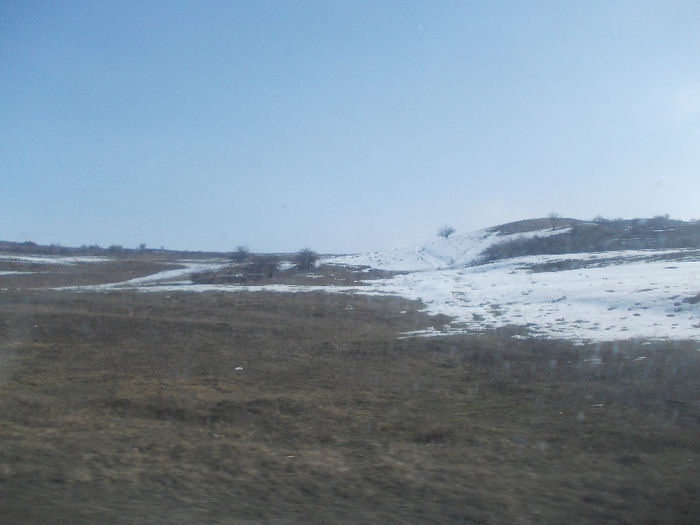 DSCN6729_2207