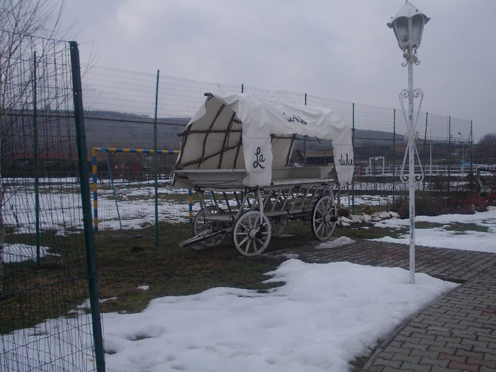 DSCN6772_2250
