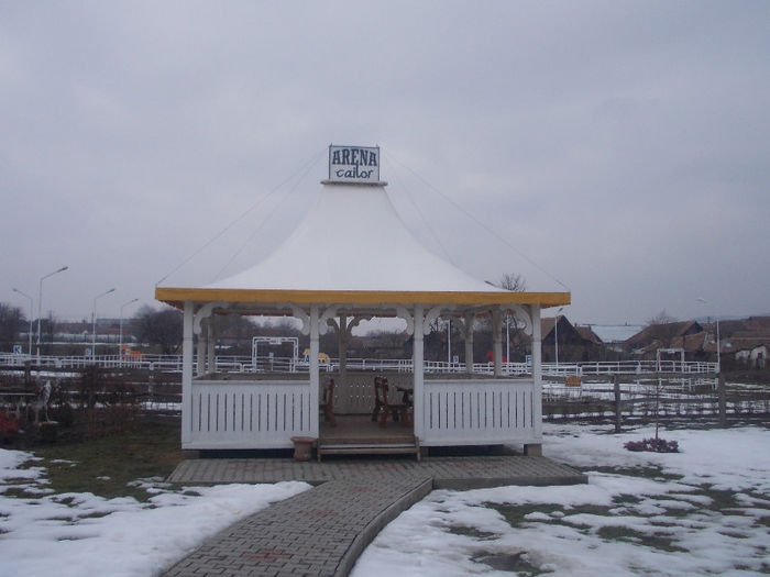 DSCN6773_2251